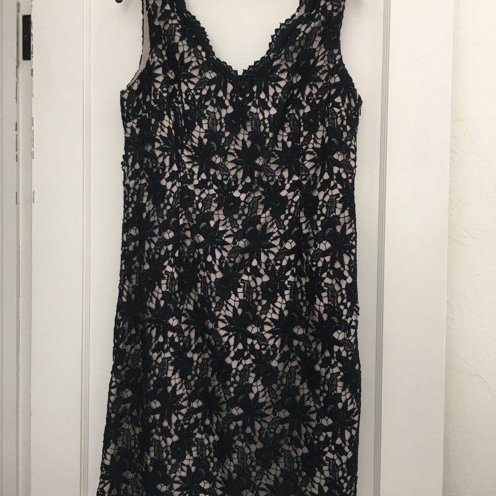 Navy Lace Shealth Dress